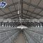 China automatic control steel structure chicken eggs layer farm building sheds