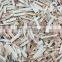 Good price frozen Illex squid strip for export