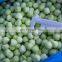 Sinocharm BRC A Approved IQF Cantaloupe honey dew hami Melon Ball Frozen Cantaloupe