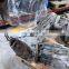 In Stock Used Automatic Transmission Gearbox GLH Used Gearbox
