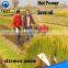 Professional manufacture kubota rice harvester