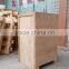 300-500KG/H Full Automatic Apple & Tomato Washing Machine