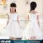 New Summer Children Clothes Wedding Dress Teen Girl Princess Dress Bridal Sling Lace Dress