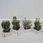 Handmade indoor decoration artificial ornamental plants/artificial plants and trees