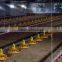 2016 hottest sale chicken and breeder used broiler breeding machine
