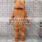 Attractions in china despicable bear costumes for adult                        
                                                Quality Choice