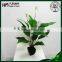 artificial peace lily flower artificial flower pot