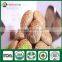 Shiitake Farm,Shiitake Growing,Shiitake Growing Kit