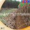 Factory selling low price small cane harvester/sugar cane harvesting machine/cane cutter