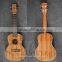 Ukulele in different colour