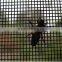 Hebei factory supply good quality window insect screen with low price 18meshx16mesh