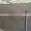 Elegant Brown Quartzite