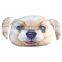 Best Seller Cute Pet Dog Pattern Cushion Cover, Wholesale Throw Case Pillow Cover