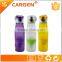 Top 10 selling product easy juice make frosted fruit infuser drinking bottle