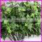 wholesale artificial sweet potato leaves fake green plant