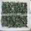 2015 New Crops frozen chopped spinach cuts