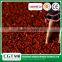 Cheap sport grass carpet,artificial lawn grass for big sports stadium