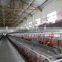96 capacity cages chicken/egg layer cage for sale with high quality