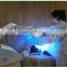 PDT LED light therapy for elastic and white skin
