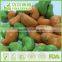 European Style Snacks of Barbecue Flavor Cahsew with BRC