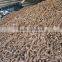 TAPIOCA CHIP_ CHEAPEST PRICE and GOOD QUALITY (mary@vietnambiomass.com)