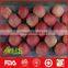 Organic red honey and crispy fuji apples