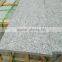 Exotic Granite Slab /outdoor granite tile