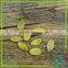 Best Quality White Pumpkin Seeds Kernel In China Grade A