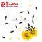 Chinese Common Cultivation Sunflower Seed Wholesale Market Price