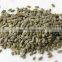 pumpkin oil seeds GWS pumpkin seeds kernel