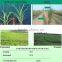 Organic Fertilizer Potassium Humate Powder With 10% K2O