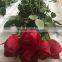 High quality fresh cut flowers/red roses in China