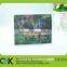 Low Price!Printing Gradient Type Lenticular Card From Gold Supplier