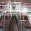 animal automatic feeding system for pig farm