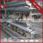 Top Selling China New Automatic Chicken Cage System