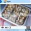 Snack Food Machine Electric 12 Grid Kanto Cooking Machine