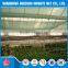 320g 6 needle agricultural sun shade net/greenhouse sun shade net