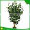 Top quality artificial money tree for decoration