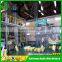 3T Lentils peas beans processing machines equipment for whole plant