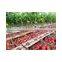 vanq grow light bar 150w hydroponics led plant waterproof high power greenhouse lamp