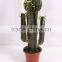 SJ3001106 Plastic cactus indoor outdoor potted plant tree