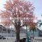 SJ1501040 High imitation custom make cherry tree 6m height