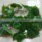 SJ0601027 Guangzhou factort wholesale fake leaves vine plastic artificial flowers vine