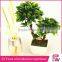 novelties goods from china artifical bonsai plants