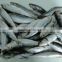 Best Price for Canning Frozen Sardine Seafood