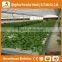 Heracles Commercial Idustrial Hydroponic Systems For PC Greenhouse /Vegetable Greenhouse
