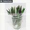 Manufacturing maguey garden decoration indoor decoration handmade plant for sale