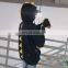 Pet Jacket Hoodie dinosaur Cat Match Owner and Dog Parent-child Dog Pet Clothes