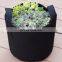 felt tomato plants seeding bag