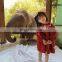 6680 Children clothing spring casual dress chinese style embroidered dress